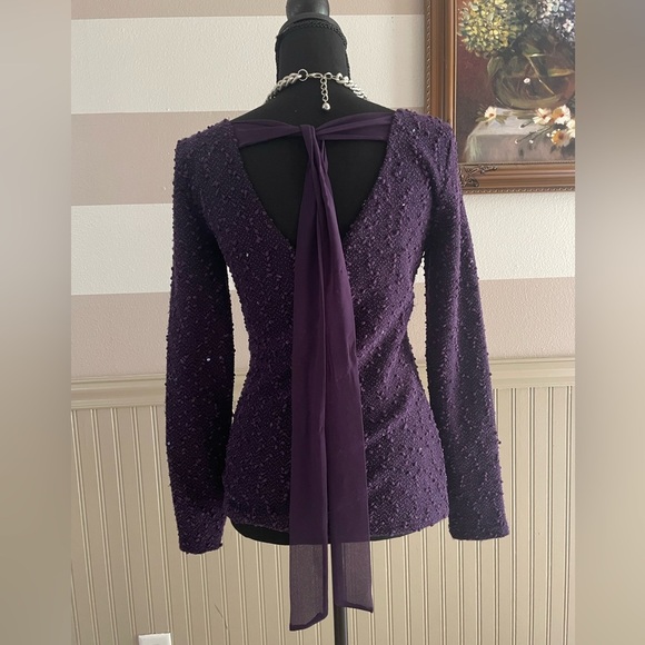 Elegant Purple Sequin Long Sleeve Top - Picture 7 of 8